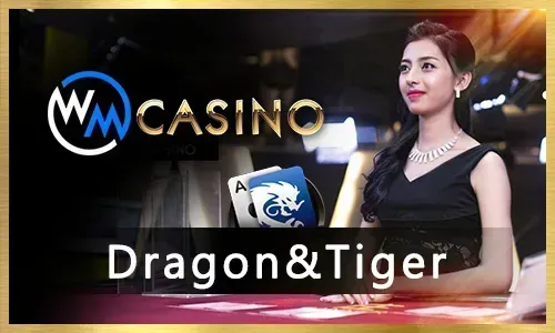 Exclusive Promotions and Bonuses at 8k8